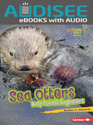 cover image of Sea Otters